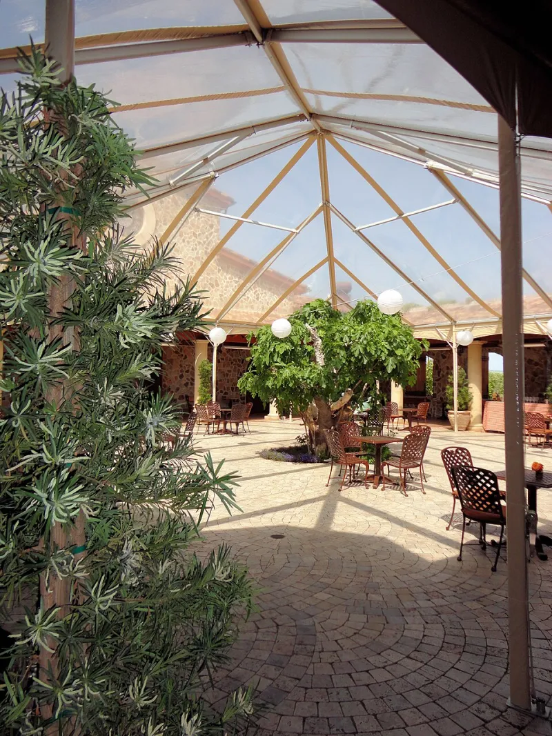 Vignaioli Senza Palcoscenico: Alla Scoperta delle Cantine Familiari che l'Italia Non Ha Ancora Messo in Vetrina